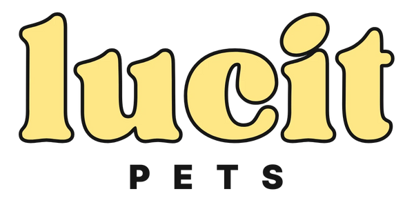 Lucit